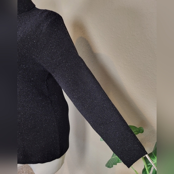 CATO Black and Silver Metallic Stretch Turtleneck Sweater - Plus Size 18/20W - Picture 5 of 9